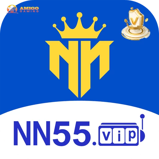 nn55 logo